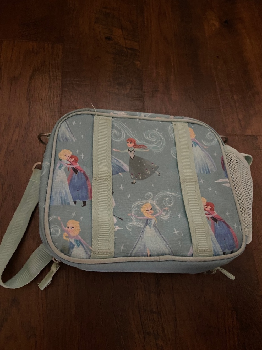 Lunchbox Pottery Barn Kids Frozen Elsa Anna Disney school Mint/Aqua color